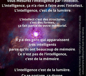 L&rsquo;homme au masculin