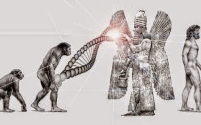 Origines de l&rsquo;homme – Extraterrestres