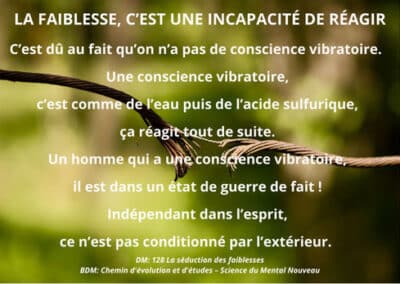 La séduction des faiblesses