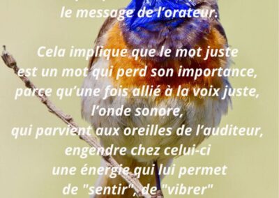 Une parole juste a une voix juste