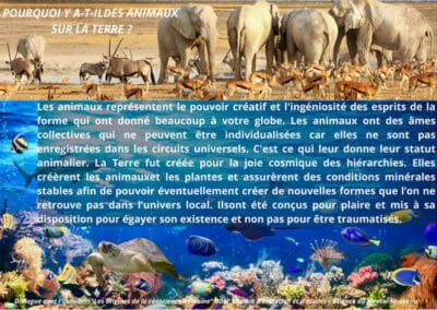 Les animaux