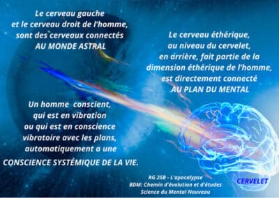 Le cerveau éthérique