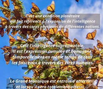 Le Grand Monarque