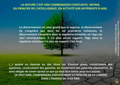 MR-009 : le principe de l&rsquo;intelligence