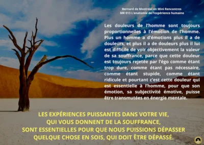 MR-013 : anatomie de l&rsquo;expérience humaine