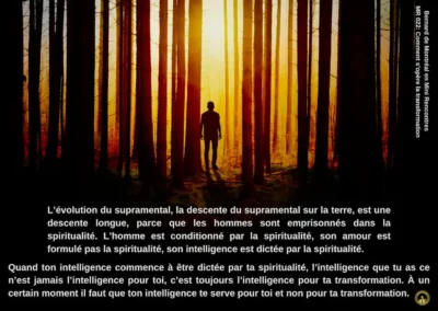 MR-022 : comment s&rsquo;opère la transformation