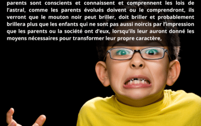 C. 99B QUESTIONS / RÉPONSES N° 2 (LE MOUTON NOIR)