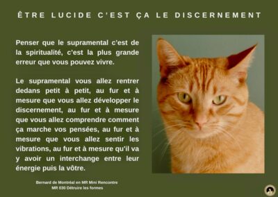 MR-030 : Détruire les formes