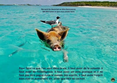 MR-059 : Faites ce que vous voulez faire