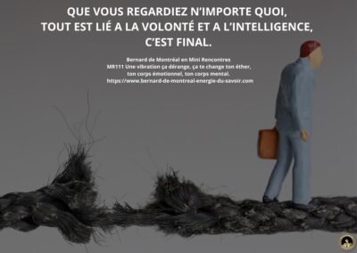 MR-111 : Une vibration ça dérange, ça te change ton éther ton corps émotionnel, ton corps mental
