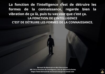 MR-114 : La fonction de l’intelligence c’est de détruire la forme