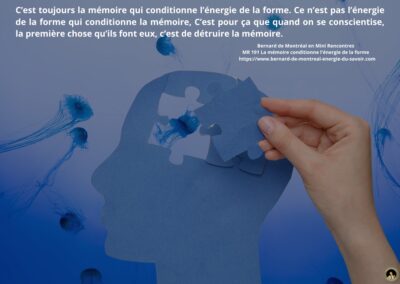 MR-191 : La mémoire conditionne l&rsquo;énergie de la forme