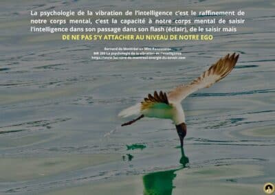 MR-200 : La psychologie de la vibration de l&rsquo;intelligence