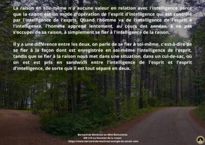 MR-216 : La fonction de la raison
