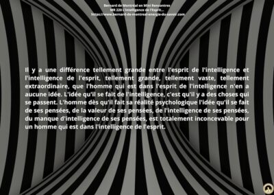 MR-220 : L’intelligence de l’esprit