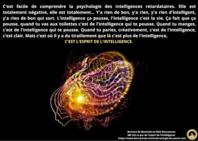 MR-222 : Le jeu de l&rsquo;esprit de l&rsquo;intelligence (partie 2)