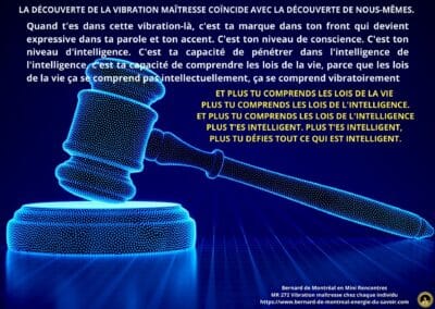 MR-272 : Vibration maitresse chez chaque individu