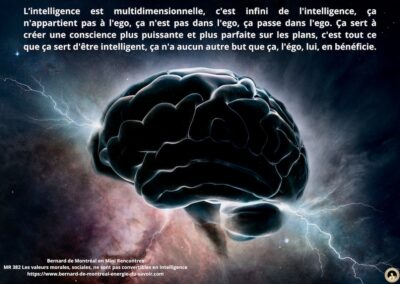 MR-382 : Les valeurs morales, sociales, ne sont pas convertibles en intelligence