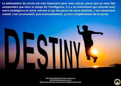 MR-386 : Phénomène de survie (partie 1)