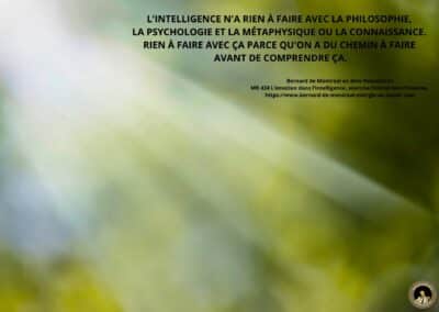 MR-424 : L&rsquo;émotion dans l&rsquo;intelligence exorcise l&rsquo;astral dans l&rsquo;Homme