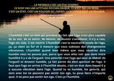 Synthèse vibratoire – MR 008 La patience