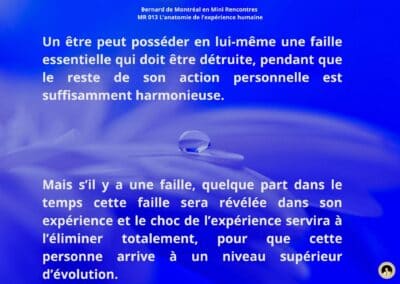 Synthèse vibratoire – MR 013 L’anatomie de l’expérience humaine