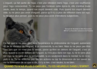 Synthèse vibratoire – MR 017 La Nouvelle conscience de l&rsquo;homme