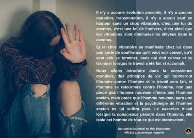 Synthèse vibratoire – MR-019 L’expérience humaine