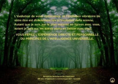 Synthèse vibratoire – MR 023 : réapprendre à communiquer avec l’invisible