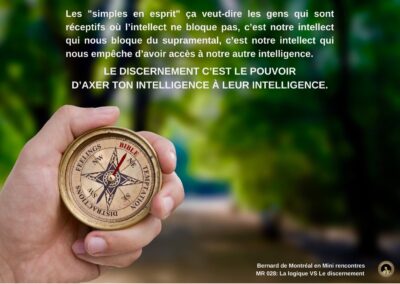 Synthèse vibratoire – MR 028 La logique VS Le discernement