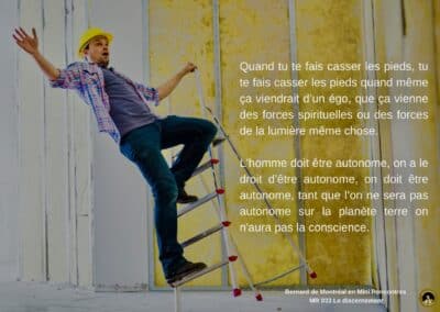 Synthèse vibratoire – MR 033 Le discernement