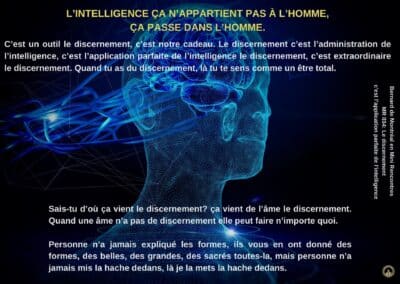 Synthèse vibratoire – MR 034 Le discernement c’est l’application parfaite de l’intelligence