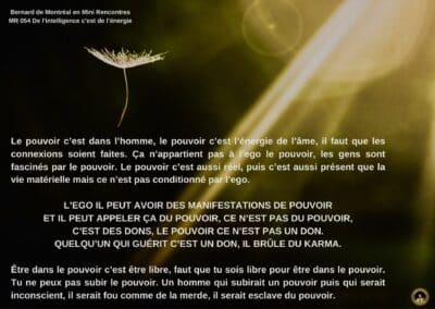 Synthèse vibratoire – MR-054  De l’intelligence, c’est de l’énergie