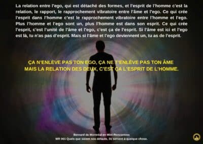 Synthèse vibratoire – MR-061 Quels que soient nos défauts, ils servent à quelque chose