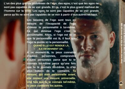 Synthèse vibratoire – MR 065 Avoir une tête de cochon (être têtu)