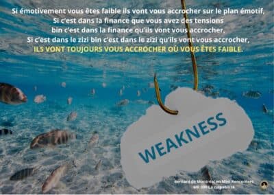 Synthèse vibratoire – MR 080  La culpabilité