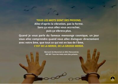 Synthèse vibratoire – MR 081 Tous les mots sont des prisons