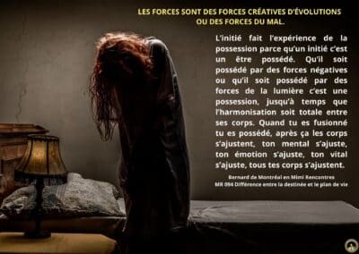 Synthèse vibratoire – MR 094 Différence entre la destinée et le plan de vie