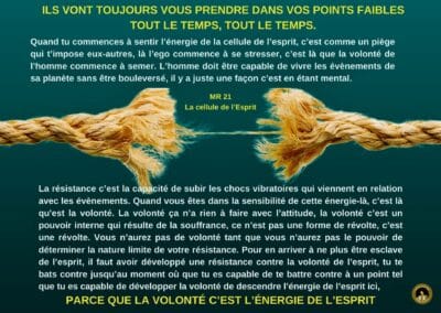 Synthèse vibratoire – MR-21 La cellule de l’esprit