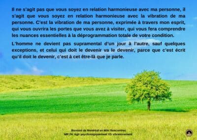 Synthèse vibratoire – MR-24 Agir psychologiquement vs vibratoirement