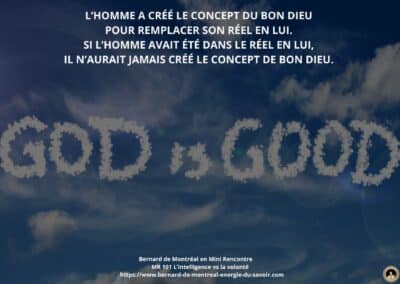 Synthèse vibratoire – MR 101 L’intelligence vs la volonté