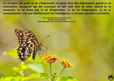 Synthèse vibratoire – MR 108 La loi d&rsquo;impression