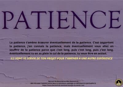 Synthèse vibratoire – MR 110 L&rsquo;homme ne vivra jamais l&rsquo;Amour sur le plan matériel