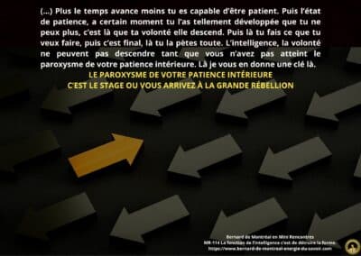 Synthèse vibratoire – MR 114 La fonction de l&rsquo;intelligence c&rsquo;est de détruire la forme