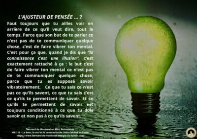 Synthèse vibratoire – MR 116 Le bien, le mal et la conscience de l’inévitabilité de l’acte