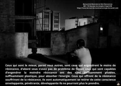 Synthèse vibratoire – MR 118 Heureux les simples d&rsquo;esprit