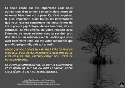 Synthèse vibratoire – MR 124 La fusion est simplement un outil