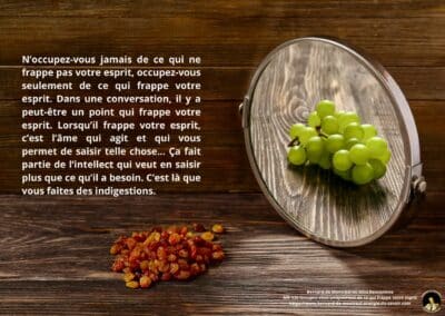 Synthèse vibratoire – MR 130 Occupez-vous uniquement de ce qui frappe votre esprit