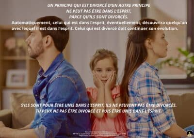 Synthèse vibratoire – MR 135 Le couple dans la conscience supramentale sur la Terre – suite et fin