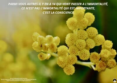 Synthèse vibratoire – MR 147 L’importance de réaliser la vie dans l’homme, voir la grandeur dans l’homme.